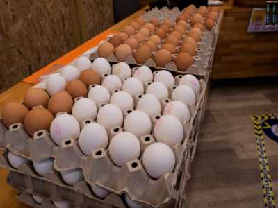 ...divise tra bianche e marroni